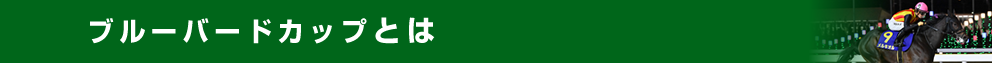 ブルーバードカップとは