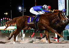 第50回　ブルーバードカップ（JpnIII）の模様