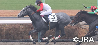 ヘルメスギャング