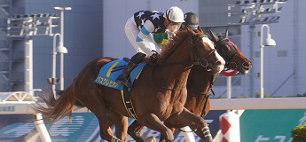 バスクレヒオン