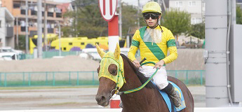 ゴールデンコマンチ