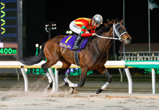 第68回　ダイオライト記念（Jpn II）の模様