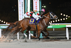 第70回　ダイオライト記念（Jpn II）の模様