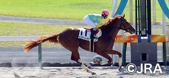 デルマソトガケ