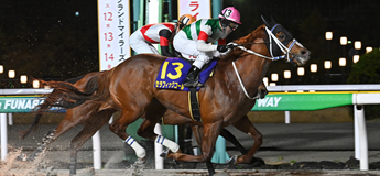 セラフィックコール