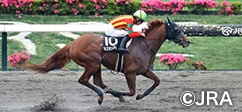 カズタンジャー