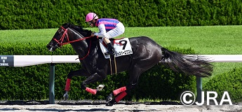 ジャスパーロブスト