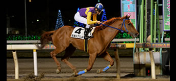 カプリフレイバー