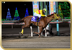 第66回　船橋記念（SIII）の模様