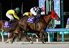 第67回　船橋記念（SIII）の模様