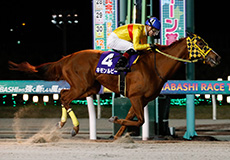 第68回　船橋記念（SIII）の模様