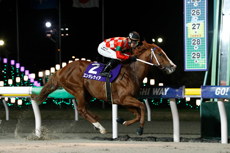 第69回 船橋記念（SIII）の模様