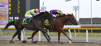 カジノフォンテン