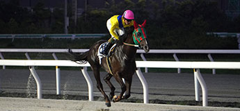 カールスバート