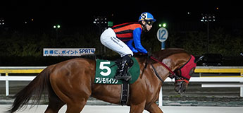 プリモパイソン