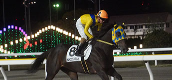 マスタープラン