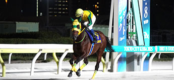 アームズレイン