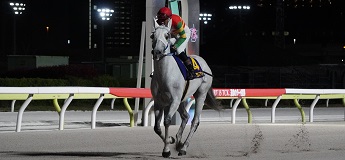 グランデマーレ