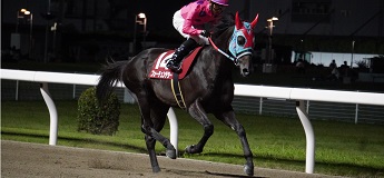 フォーチュンテラー