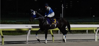 フジユージーン