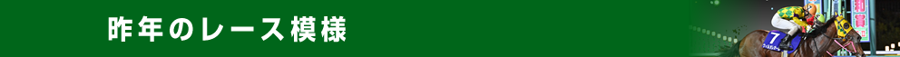 昨年のレース模様