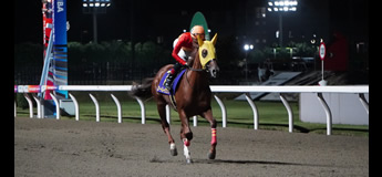 ロードレイジング