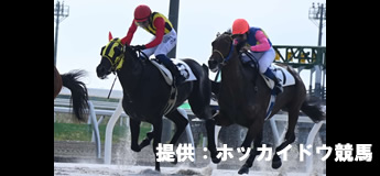 クラウニングカップ