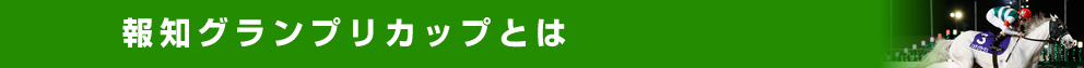 報知グランプリカップとは