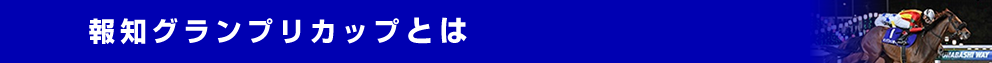 報知グランプリカップとは