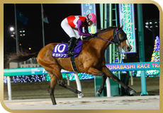 第59回　報知グランプリカップ（SIII）の模様