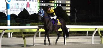 ランリョウオー