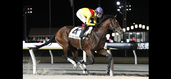 シーソーゲーム