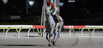 グランデマーレ