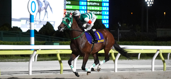 ライトウォーリア