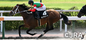 キングズソード