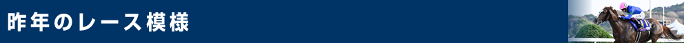 昨年のレース模様