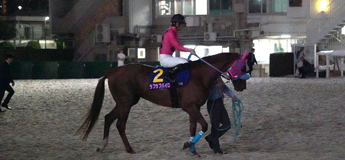 ラブラブパイロ