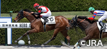 グランブリッジ