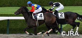 ライオットガール