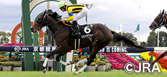 ビヨンドザヴァレー