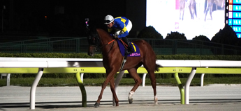 ローリエフレイバー