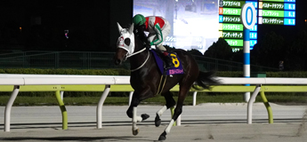 ベルグラシアス