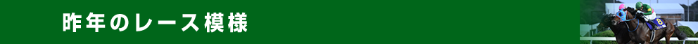 昨年のレース模様