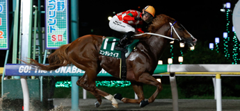 エンテレケイア