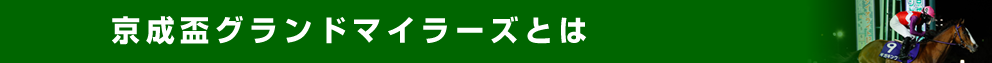 京成盃グランドマイラーズとは？