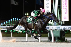 第15回 習志野きらっとスプリント（SII）の模様
