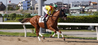 スモークフレイバー