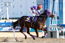 第1回　ネクストスター東日本（SIII）の模様