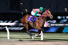 第2回 ネクストスター東日本（SIII）の模様