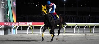 デンテブリランテ